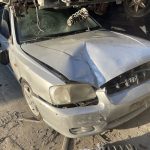 HYUNDAI ACCENT ΜΟΝΤΕΛΟ: 1999-2002 ΚΥΒΙΚΑ: 1300CC ΚΩΔ. ΚΙΝΗΤΗΡΑ: G4EA